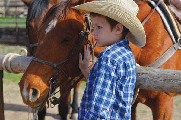 Kid petting Horse